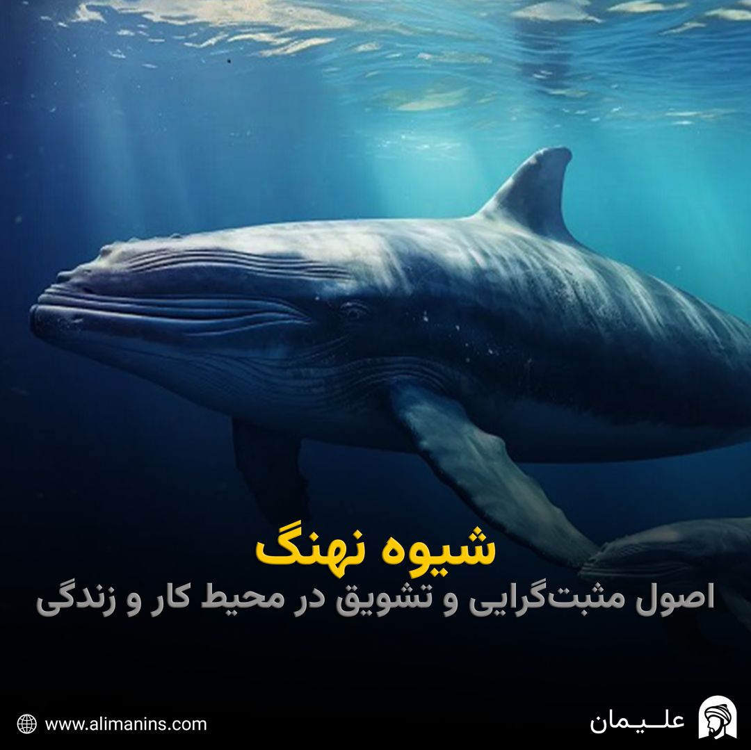 شیوه نهنگ: اصول مثبت‌گرایی و تشویق در محیط کار و زندگی