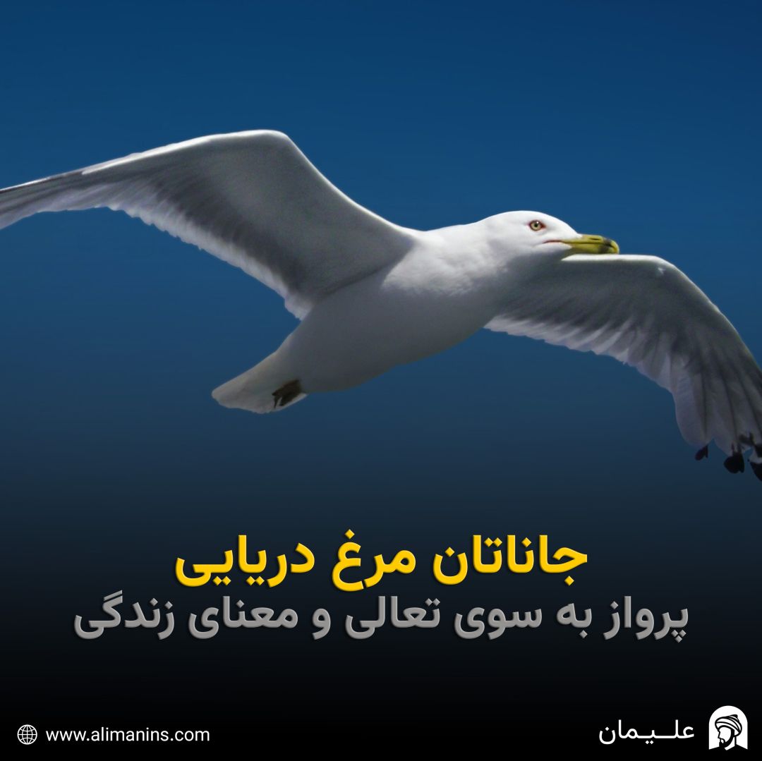 جاناتان مرغ دریایی: پرواز به سوی تعالی و معنای زندگی